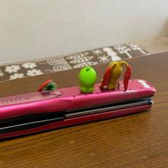 きたよー