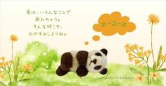 ぉゃすみ ~??