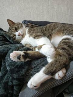 今日も、1日…