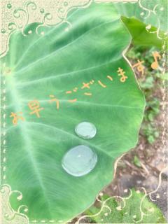 お早うございます♪
