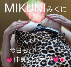 人妻ステーションポータブル　みくに