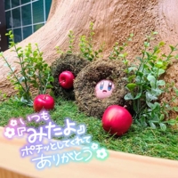 TheGrandPhoenix　じゅり※色白おっとり系