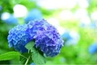 ありがとうございます