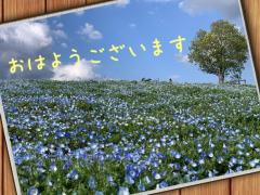 お早うございます♪