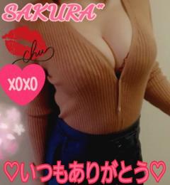 MICHELIN ミシュラン(沖縄市) サクラSakura