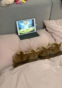 待ちナビ りいさ 事前予約ありがとうっ