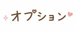 オ?プションについて?