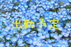 ラブ♡エル霧島店(霧島市) ♡スミレ♡