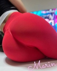 今日も