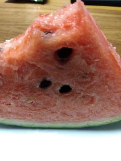 昨日御礼です