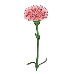  こと
