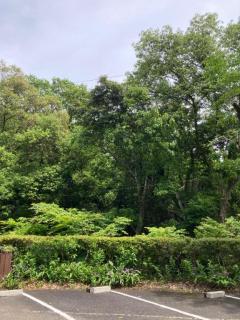 人妻ｒｅ：スタート(宮崎市) 【体験】平沢あおい