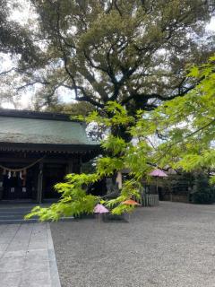 向かってます?