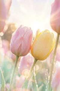待ちナビ　しずく