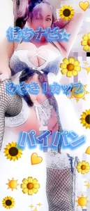 待ちナビ　みさき