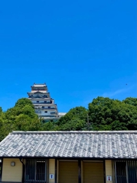 眩しい