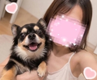 私の相棒の正体…