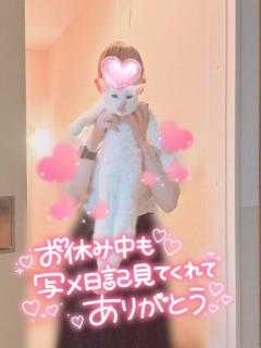 抱かれたくない…