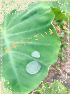 お早うございます??