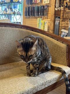 お誘いお待ちしてます