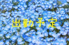 出勤?