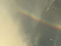 最近の写真パシャリ