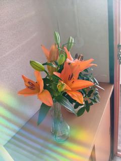 ✨🦜🏝️今日１日🏝️🦜✨
ありがとうメッセージ🙂‍↕️💞✨