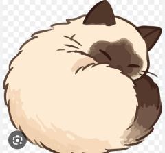 木曜日♥︎