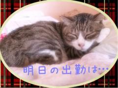 明日の出勤予定?