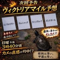 またもや