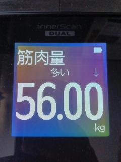 鹿児島ちゃんこ薩摩川内店　きなこ