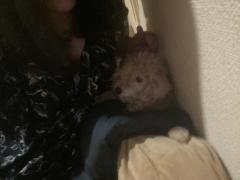 夜這い専門人妻俱楽部花魁　♡りおん♡