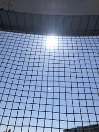暑いです。
