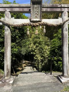 今日のお礼