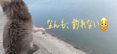 休日の過ごし方?