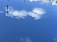 出勤しました♪