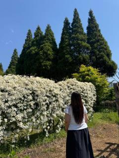 無断転載しまーす