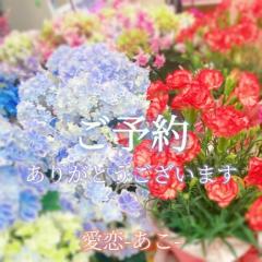 cherish　愛恋（あこ）