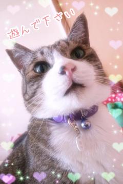 お待ちしております(*^^*)