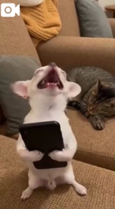 本日まっさらでございます