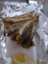 九産大美術館に行って来たよ