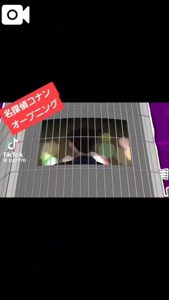 ほんとうにごめんなさい