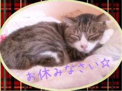おやすみなさい…???.°