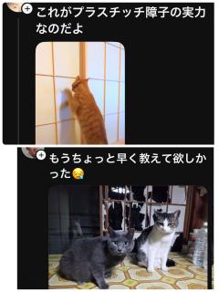 日曜は休みかな