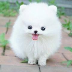 19時から、あいさん