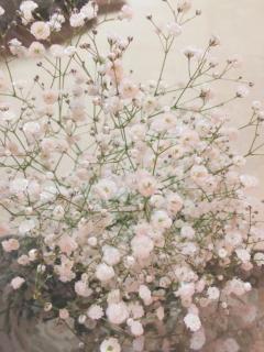 人妻ｒｅ：スタート 宮崎市デリヘル 【体験】平沢あおい 写メ日記「サンタのリピーター様」