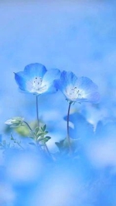 待ちナビ　しずく