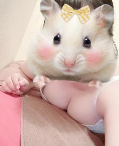 0時まで〜！(*´˘`*)