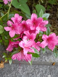 T様へ