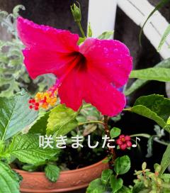 おはようございます！